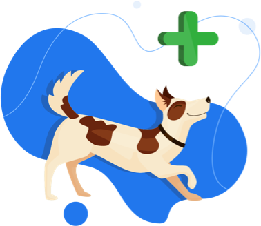 pet-add